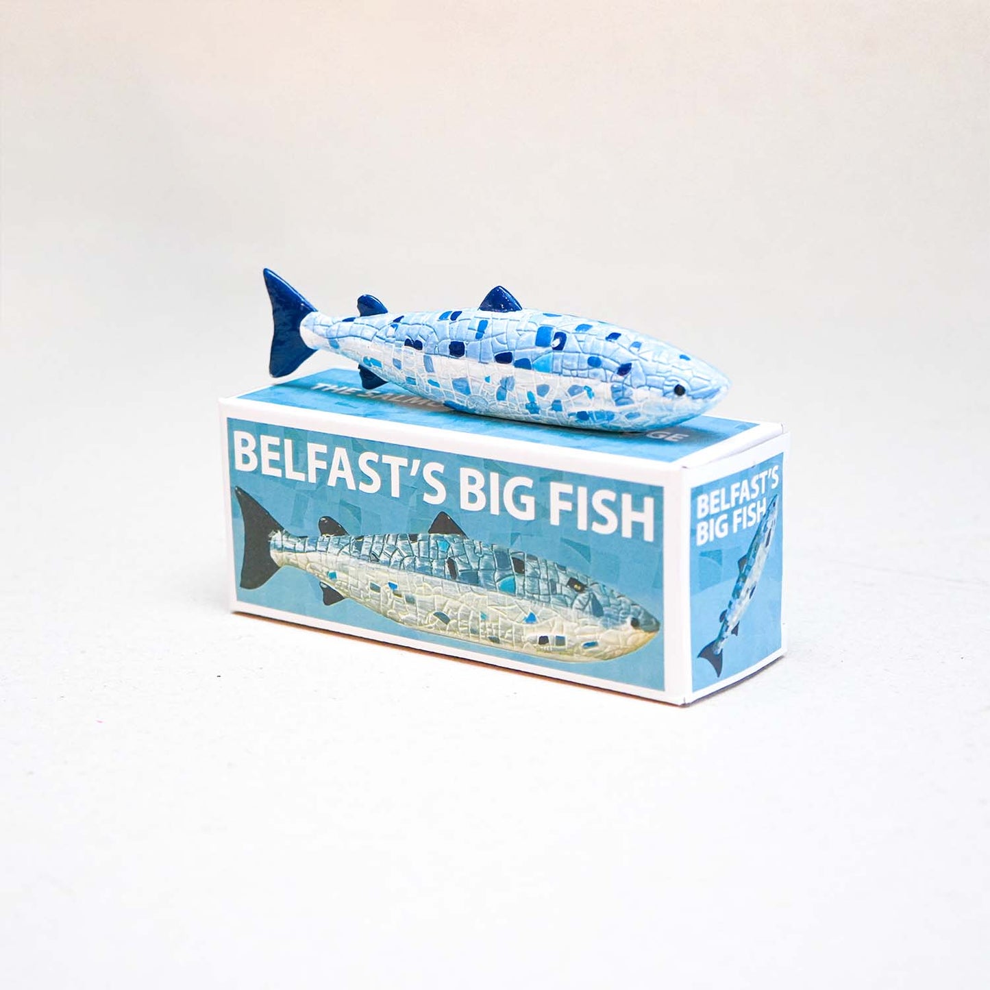 Belfast's Big Fish