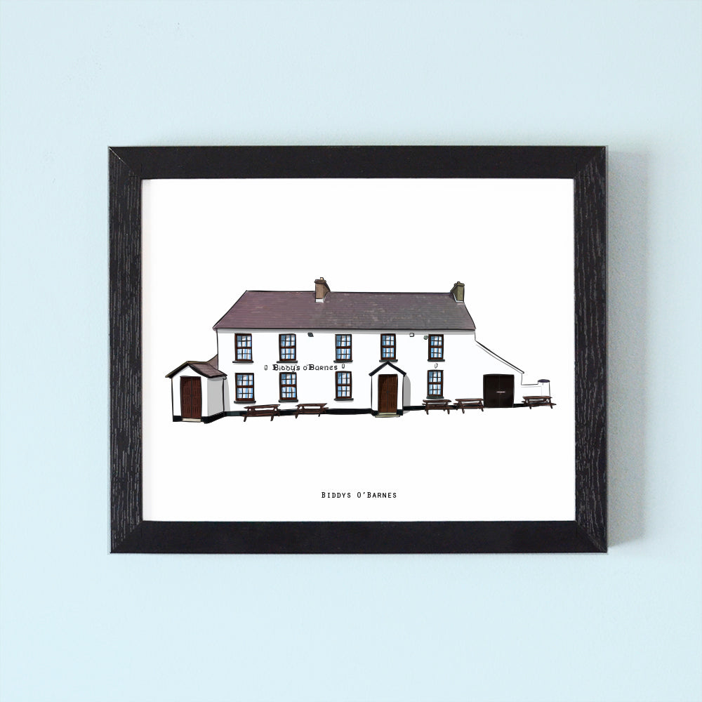 Biddys O'Barnes Illustrated Pubs of Donegal