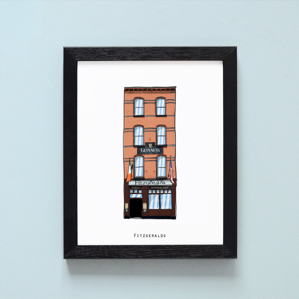 Fitzgeralds Illustrated pubs of Dublin