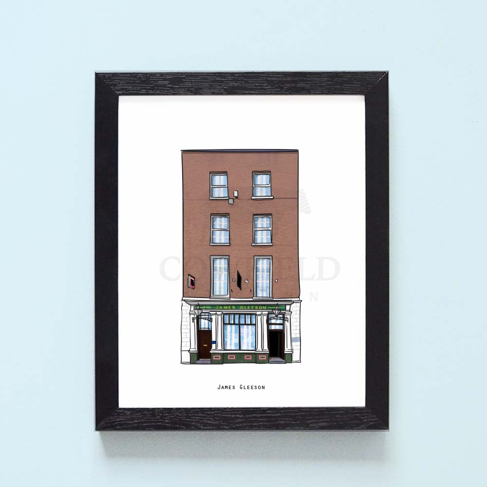 James Gleeson Illustrated Pubs of Ireland