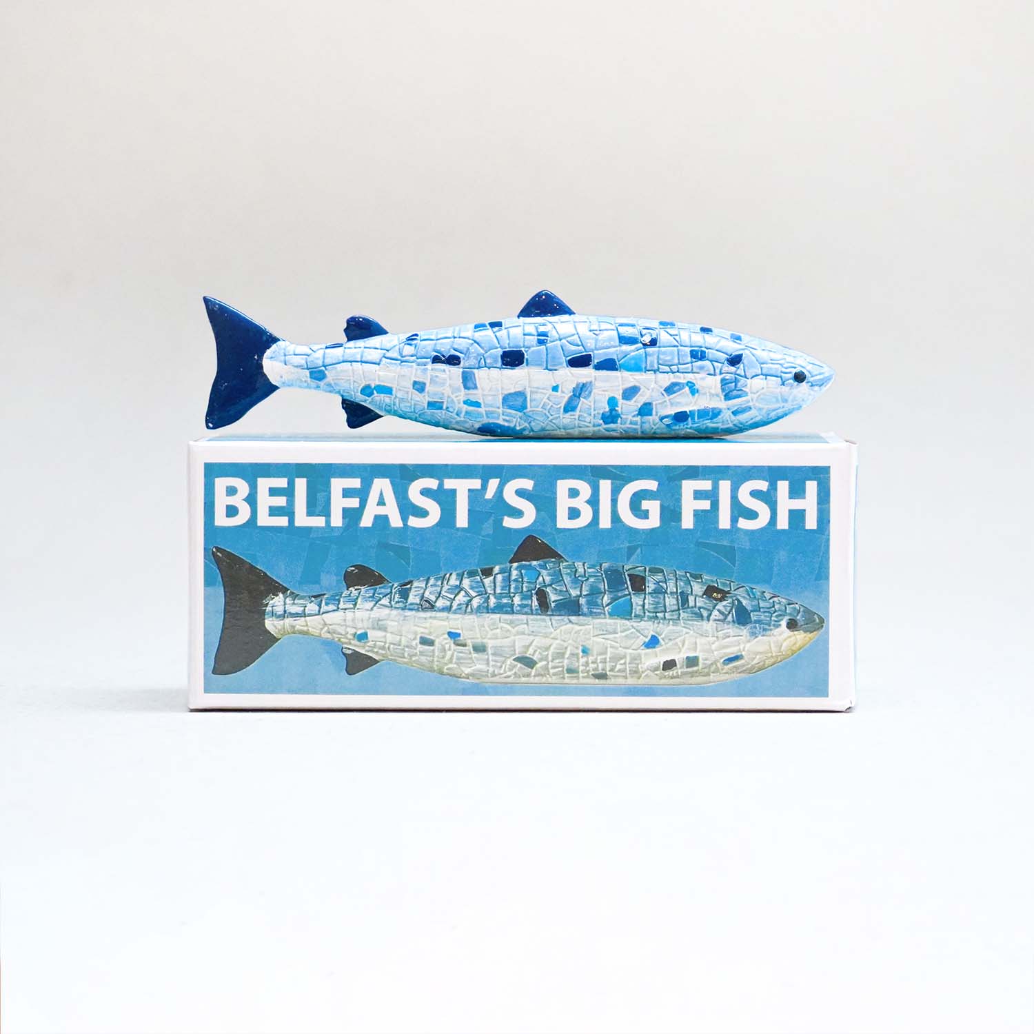 Belfast's Big Fish